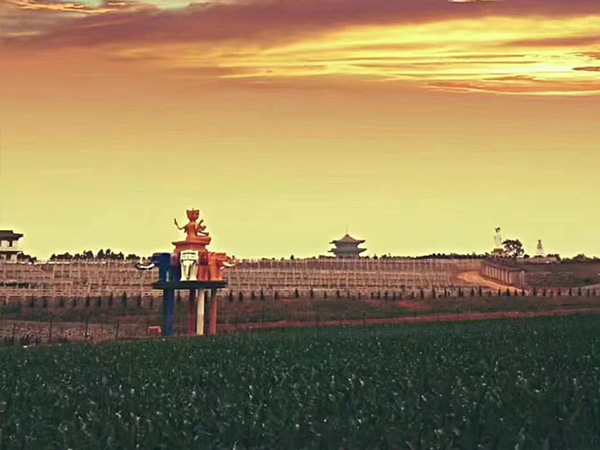 中华寺环境 (22)