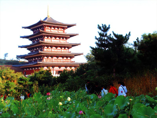 中华寺环境 (14)