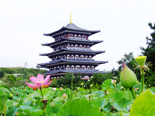 中华寺环境 (25)